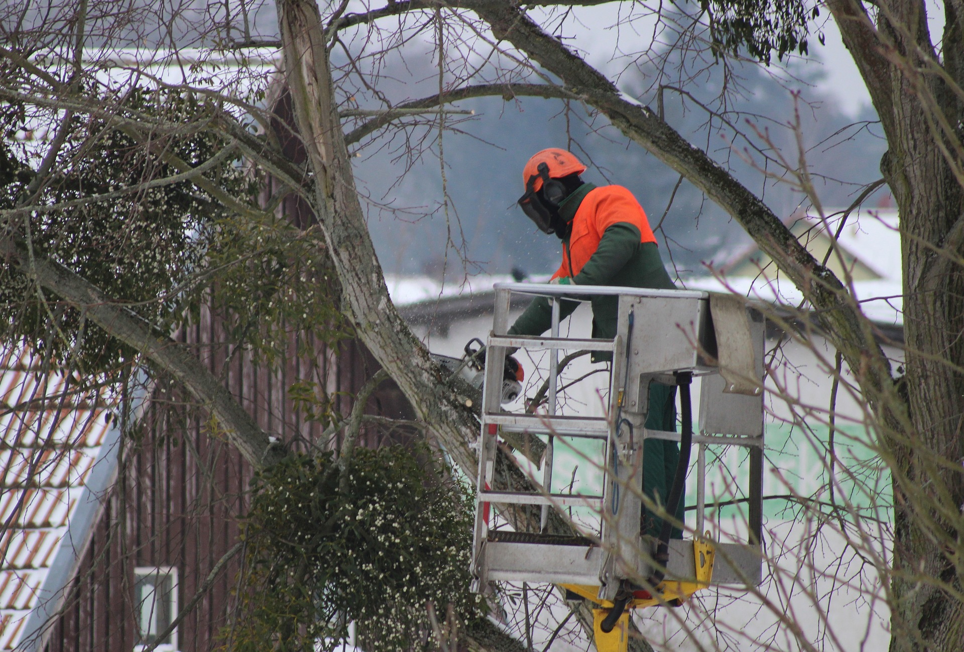 tree-pruning