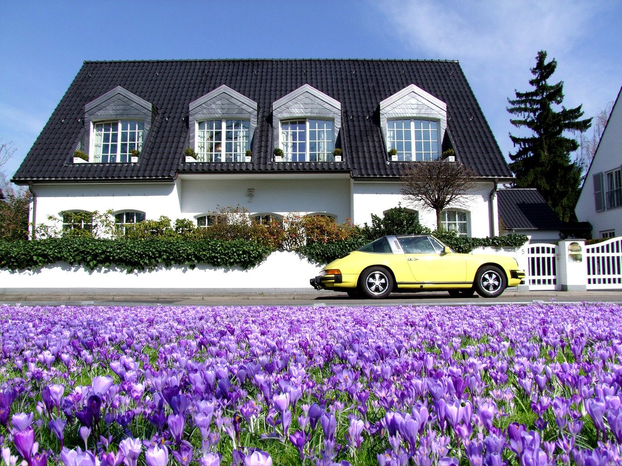 house