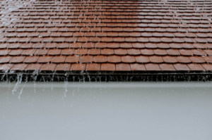 rain